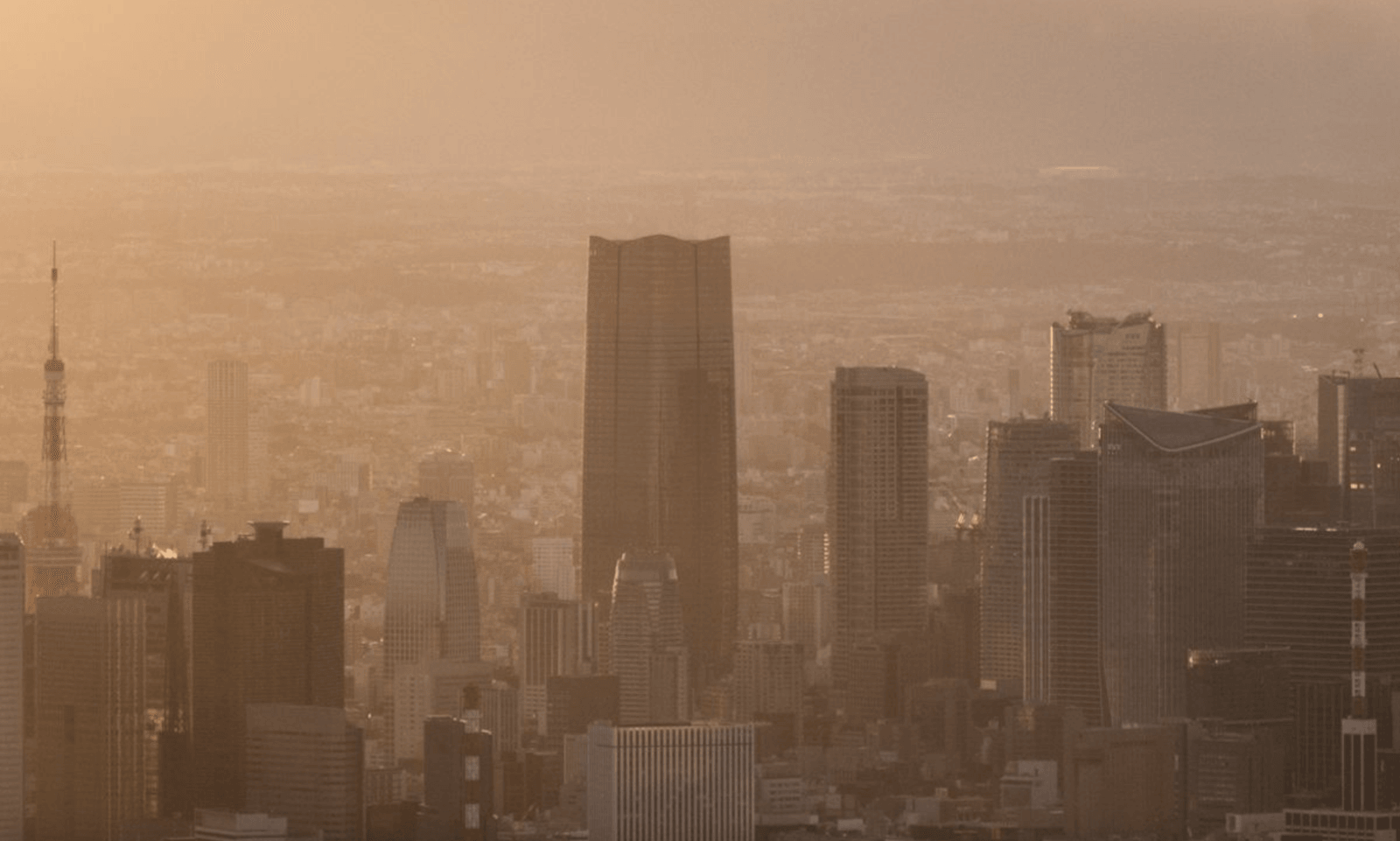 Widok na Tokio z Mori JP Tower /Fot. Pelli Clarke &#038; Partners
